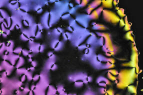 polarized microscopy image of a nematic liquid crystal